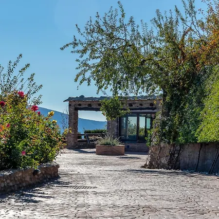 Alpujarra Sulayr *